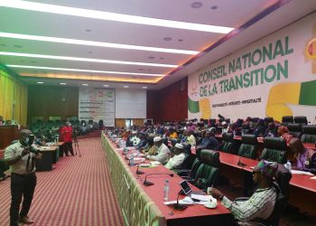 Plénière du CNT : L’ordonnance  du 2 Septembre 2021 portant  prorogation  du fonctionnement du Conseil national de la Magistrature adoptée !!!