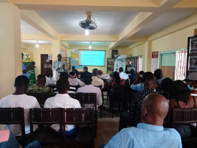 Indépendance financière  culturelle : 30 jeunes artistes à l&rsquo;école de la banque micro finance Crédit rural !!!