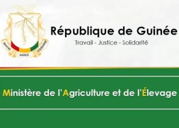 RECRUTEMENT D’UN COORDONNATEUR NATIONAL DU PROJET DE DEVELOPPEMENT DES PREFECTURES DE GAOUAL, DE KOUNDARA ET DE MALI EN REPBLIQUE DE GUINEE