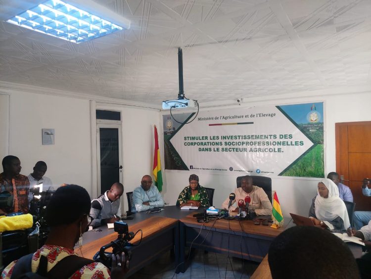« Des incendies criminels des plantations en Guinée ne resteront pas impunis », rassure le Ministre de l’Agriculture, Mamoudou Nagnalen Barry !!!