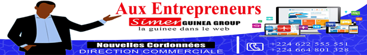 SIMER GUINEA GROUP