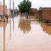 Afrique du Sud : Une inondations fait un bilan tragique s’élevant à 443 morts !!!