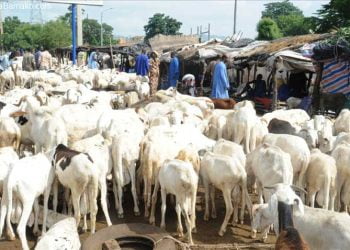Le Mali ouvre ses frontières pour le Sénégal et la Côte d’Ivoire (Décision Douanes)!!!