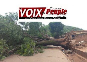 Une tornade cause d’énormes dégâts à Dinguiraye (images) !!!