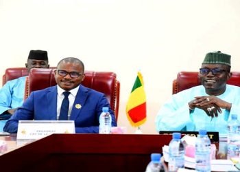 CNT Mali/Guinée : Réunion de bureau conjointe (Cel-Com/CNT)!!!