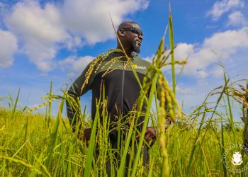Entrepreneuriat : Le Président de la Transition visite sa plantation de 59 hectares à Fanye dans la Préfecture de Forécariah!!!