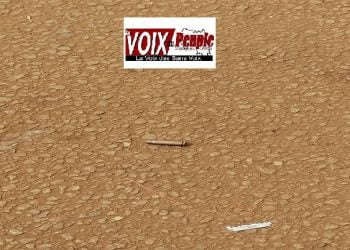 Manif du FNDC à Conakry : Cinq (5) blessés par ‘’balles’’ dont un cas critique selon le comité d’organisation (bilan provisoire) !!!