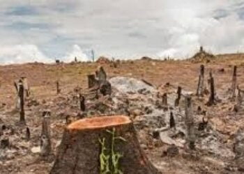 Environnement : Le SG du Ministère de l’Environnement sévit, plusieurs cadres suspendus de leurs fonctions (décision) !!!
