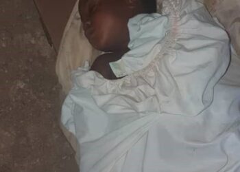 Diécké : Une fillette tuée par un serpent !!!