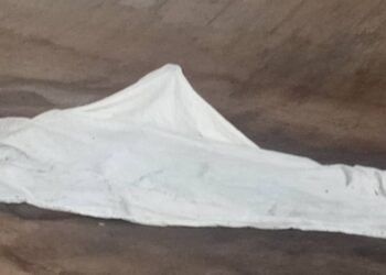 Gbésia/Matoto : Un corps d’un homme retrouvé sous la passerelle de Kondebougni (témoins) !!!