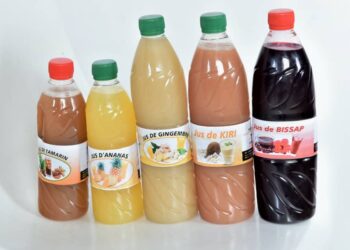 Entrepreneuriat féminin : la promotrice du groupe ‘’Mabycha’’ ambitionne de couvrir la Guinée entière de ses boissons fabriquées localement !!!