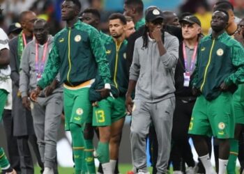 Primes du Mondial 2022 : jusqu’à 115 millions pour chaque Lion, 230 millions pour Aliou Cissé