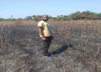 Forécariah : Le champ de manioc de Mdou Saliou Baldé complètement incendié, il perd espoir (victime) !!!