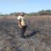 Forécariah : Le champ de manioc de Mdou Saliou Baldé complètement incendié, il perd espoir (victime) !!!