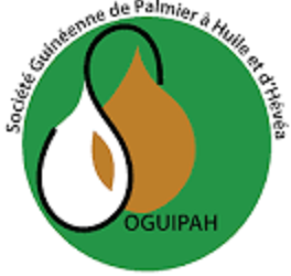 La SOGUIPAH recrute un Cabinet pour l’élaboration de son manuel de procédures administratives et de gestion (Avis d’Appel) !!!