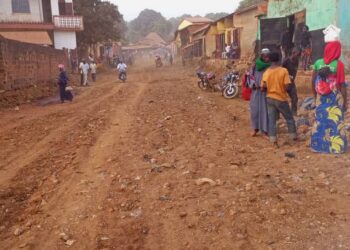 Reprofilage de la route Sangaredi-Télimélé : Des marchands impliqués dans l’ouverture de la voie !!!