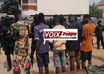 Insécurité : Cinq présumés voleurs présentés à la Presse !!!