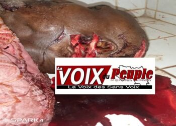 Coyah : Un homme de 80 ans et père de 12 enfants tué dans sa concession (témoins) !!!