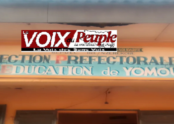 Yomou/ Bignamou : Un enseignant contractuel tué par un serpent !!!