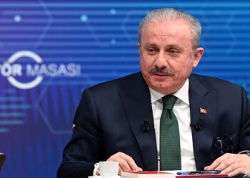 Le président du parlement turc s&rsquo;inquiète de la montée du sentiment anti-Turcs et anti-Islam en Europe