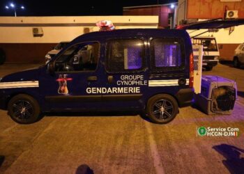 LE NOUVEAU GROUPE CYNOPHILE DE GENDARMERIE NATIONALE RECOIT SES PREMIERS CHIENS !!!