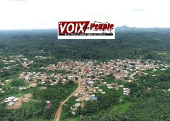 N’Nzérékoré : SOS pour le District de Nyèma Sud avec (5) milles habitants sans réseau téléphonique !!!