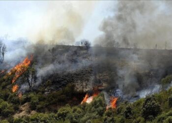 France / Incendie dans les Pyrénées-Orientales : plus de 1 000 hectares ravagés!!!