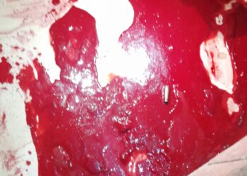 Insécurité à Kankan : Une boutique d&rsquo;alimentation attaquée par des bandits (images)!!!