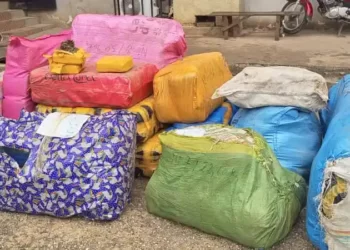 Conakry : Une grande quantité de chanvre indien saisie par le Secrétariat Général des Services Spéciaux !!!