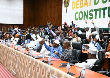 Les Collectivités locales du pays ont désormais leur interlocuteur au sein du CNT (Cel. Com CNT)!!!