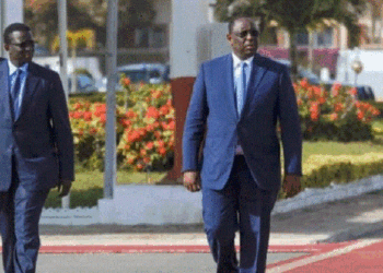 Sénégal : le nom du potentiel successeur de Macky Sall est connu !!!