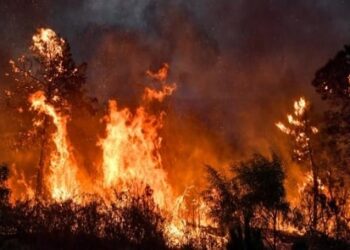 Algérie : au moins 34 morts dont 10 militaires dans de violents incendies (nouveau bilan)!!!