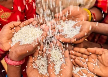 La sécurité alimentaire en péril ? l’Inde interdit l’exportation du riz !!!