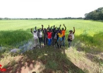 Agriculture : Lancement officiel des travaux des ateliers sur les projets de Coopération avec l’Agence Brésilienne… !!!