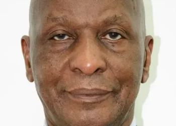 Le cri de douleur de la jeunesse africaine (Par Fodé Mohamed Soumah)