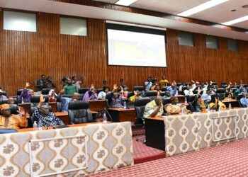 Economie : Les conseillers nationaux du CNT ont approuvé la convention de financement entre la Guinée et l’IDA à hauteur de 45 millions US (plénière) !!!