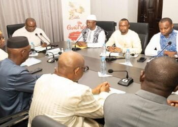 Guinée : L’OMVG annonce la fin des travaux du site d’interconnexion de Linsan !!!