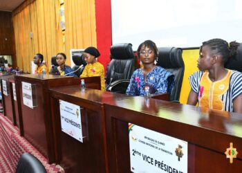 CNT : une plénière aux couleurs de la jeune fille!!!