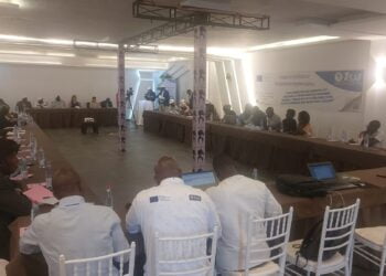 Opportunités de formations : L’ASAF organise un atelier pour des étudiants guinéens !!!