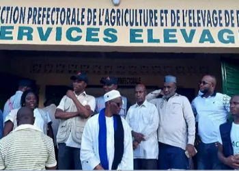 Agriculture/Dabola : Le Directeur préfectoral, Habib Thiam rénove les locaux de la direction sur fonds propres !!!