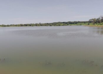 Faranah : Deux corps d’enfants repêchés dans un micro barrage !!!