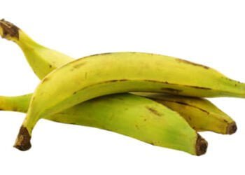Economie : 1ère productrice et exportatrice mondiale de la banane au temps colonial, la Guinée peine encore à reprendre sa place, voici les raisons !!!