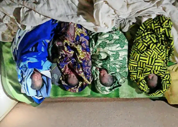 SOS pour dame Moussou Léno qui a fait des quadruplés à Siguiri !!!