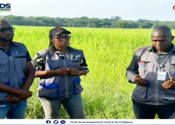 FDSI : une mission de supervision visite les sites aménagés avant les récoltes!!!
