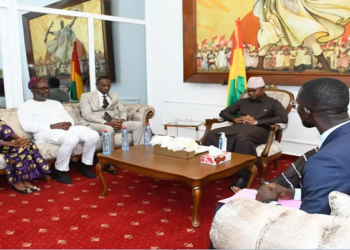 Transition : le Réseau de Solidarité Démocratique en Afrique de l’Ouest apporte son soutien à la Guinée