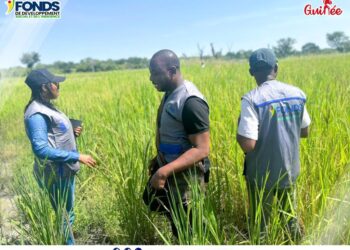 Agriculture: Une mission du FDSI est en tournée à l’intérieur du pays (Cel. Com)!!!