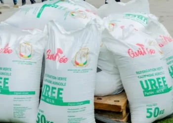 Kindia/Agriculture : le prix d’engrais fixé par l’Etat piétiné par la COPEFL de Friguiagbé !!!