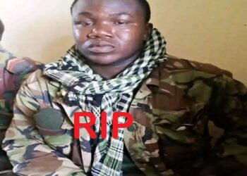 Telimélé/Missira : Le chef de cantonnement forestier tué dans un accident !!!