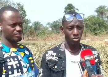 Agriculture: Des incendies reprennent en Basse Guinée dans les champs d’ananas (victimes) !!!