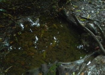 Préfecture de Mali : De nombreux villages en manquent d’eau potable (Constat) !!!